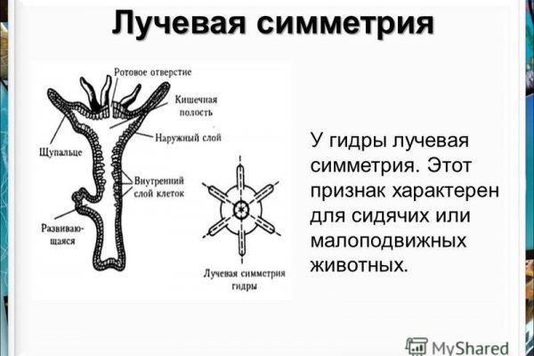 Кракен найдется все