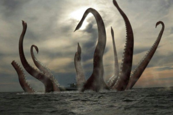 Кракен krakens13 at