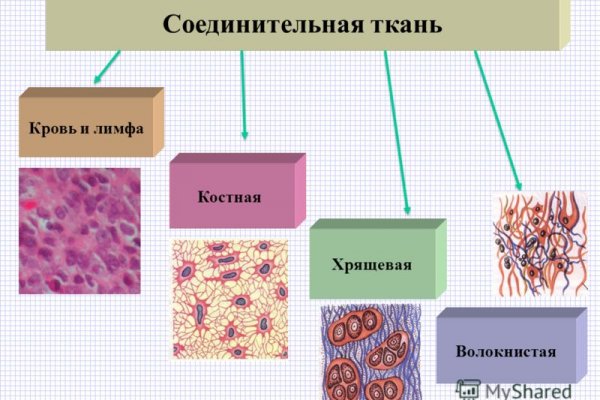 Ссылка на кракен тор